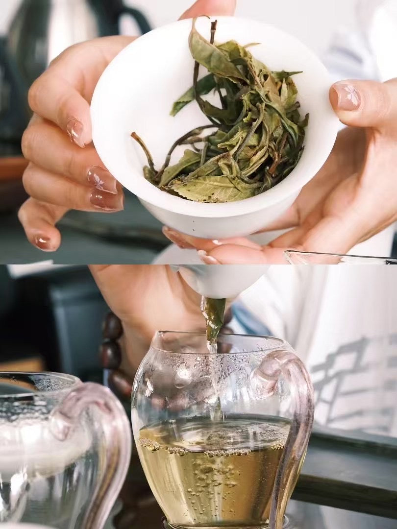 Cang Sui Pavilion BingDao Laozhai Ancient Tree Pu'er Tea Raw Tea