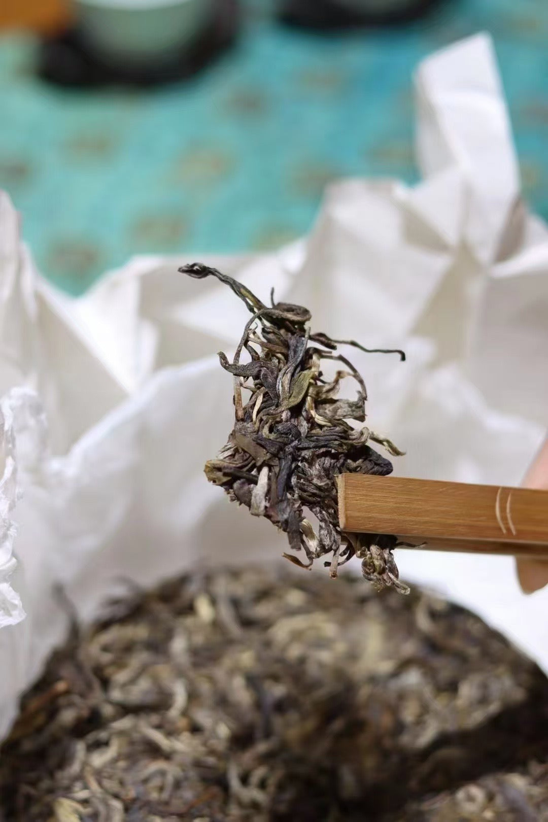 Cang Sui Pavilion BingDao Laozhai Ancient Tree Pu'er Tea  Raw Tea