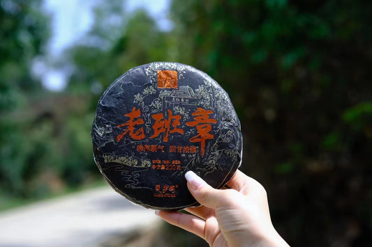 Cang Sui Pavilion Lao Ban Zhang Pure Natural Ecological Pu'er Raw Tea